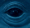 Аватар для Whale