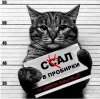 Аватар для dunay