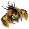 Аватар для Weirdbug