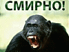 Аватар для ВИТ