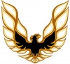 Аватар для Holt